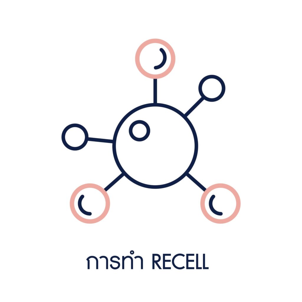 Re- cell