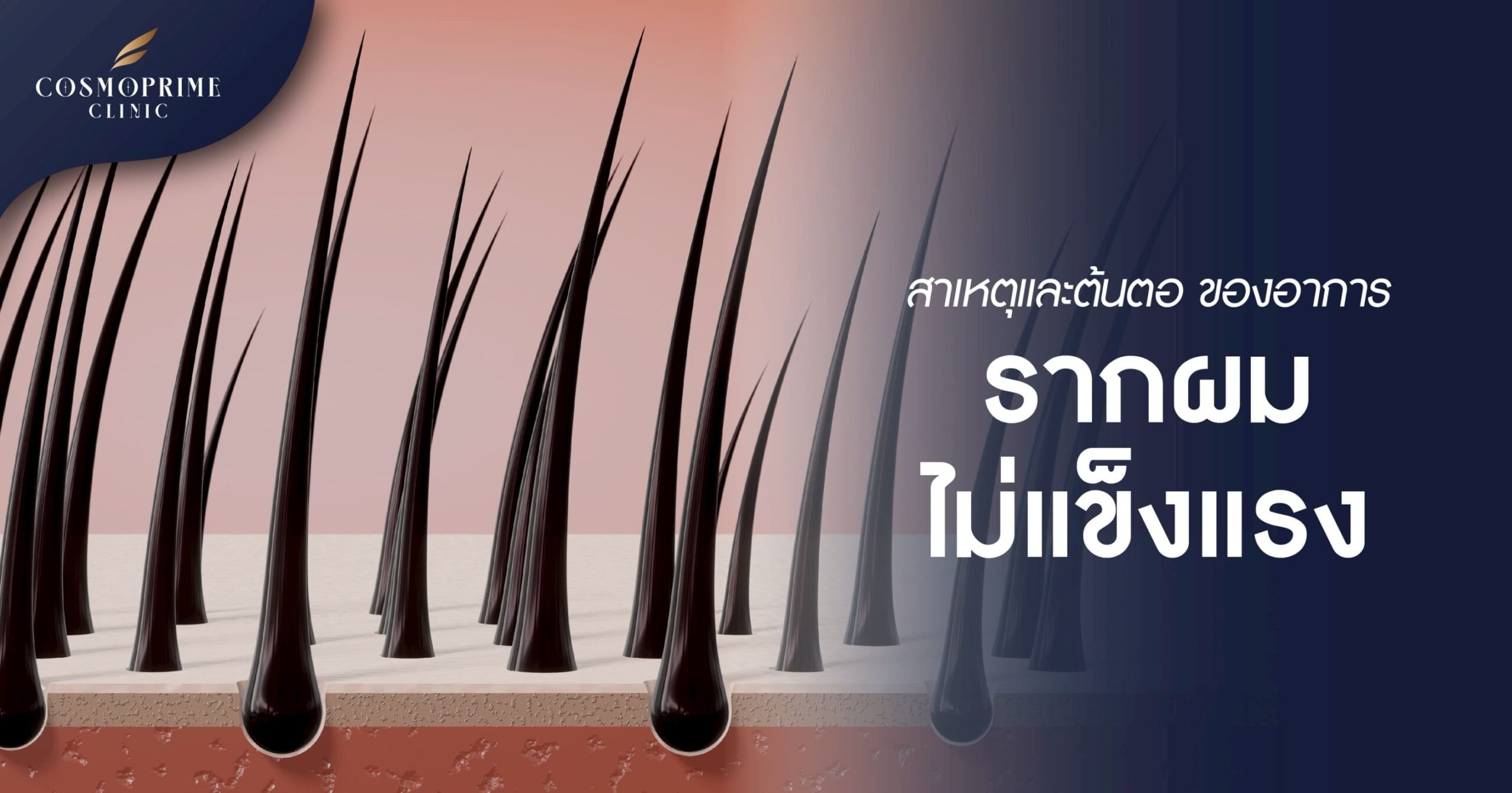รากผม
