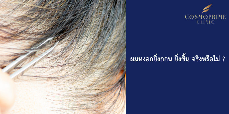 ผมหงอกยิ่งถอน ยิ่งขึ้น จริงหรือไม่