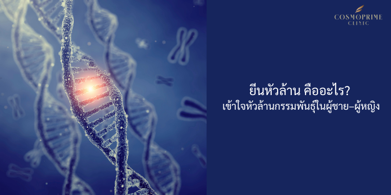 ยีนหัวล้าน